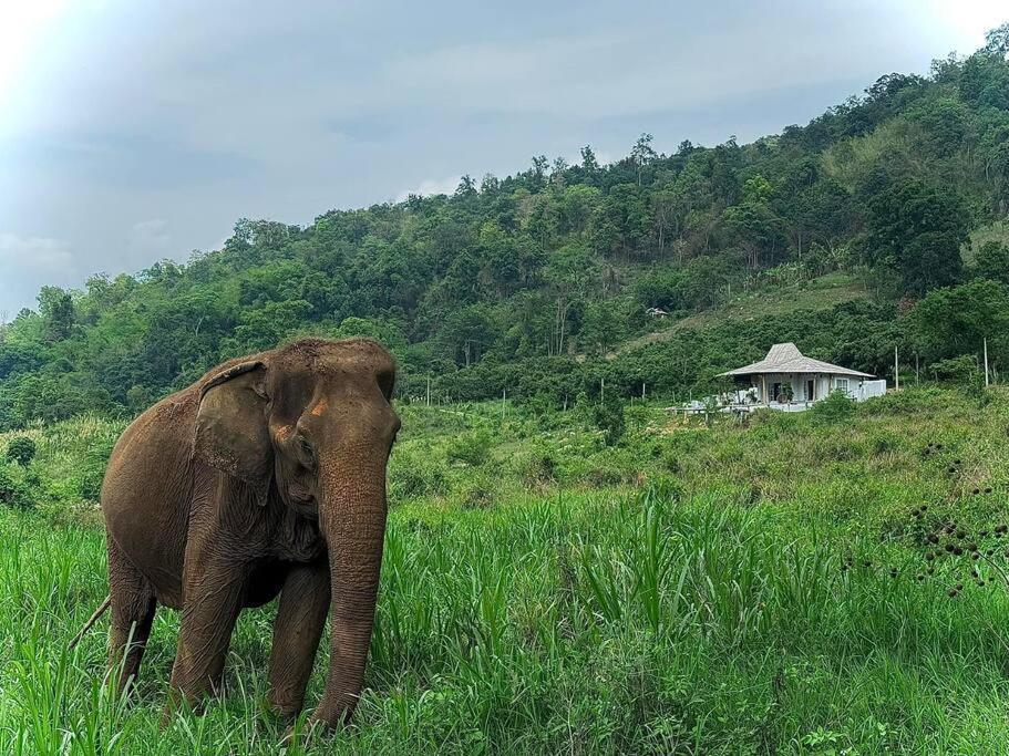 Elephantpoolvilla Maetang Chiangmai Ban Muang Kut Exterior photo